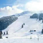 In Alpine Bayrischzell