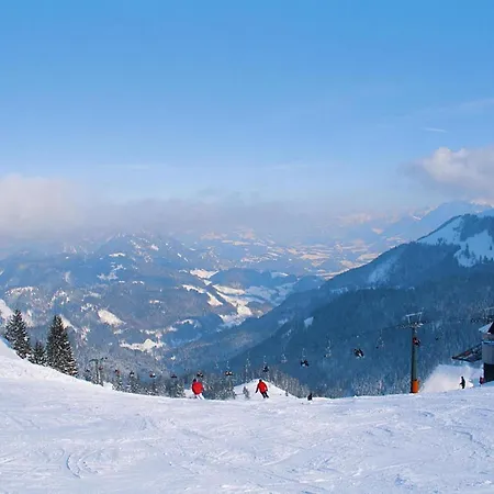 In Alpine *